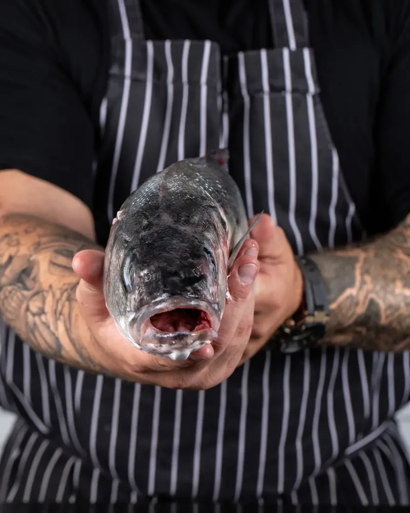 Evenement et experiences insolites - Matthieu Dupuis-Baumal