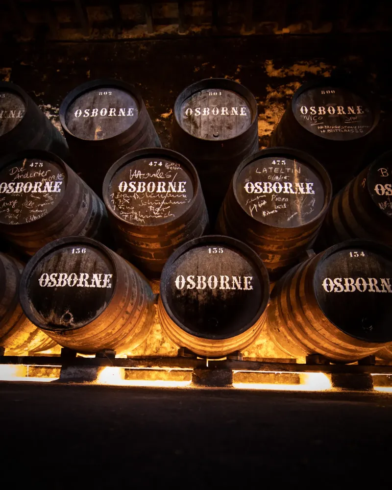 Evenement et experiences insolites - Matthieu Dupuis-Baumal