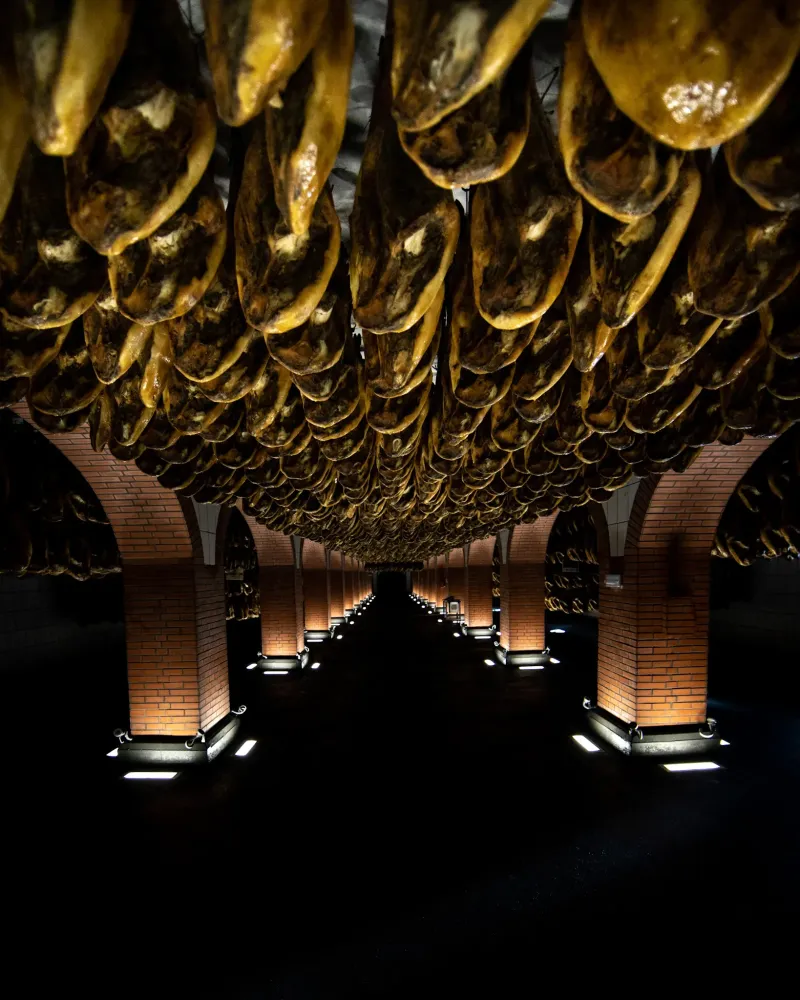 Evenement et experiences insolites - Matthieu Dupuis-Baumal