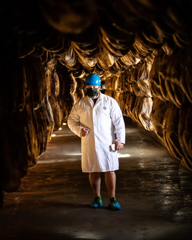 Matthieu Dupuis-Baumal