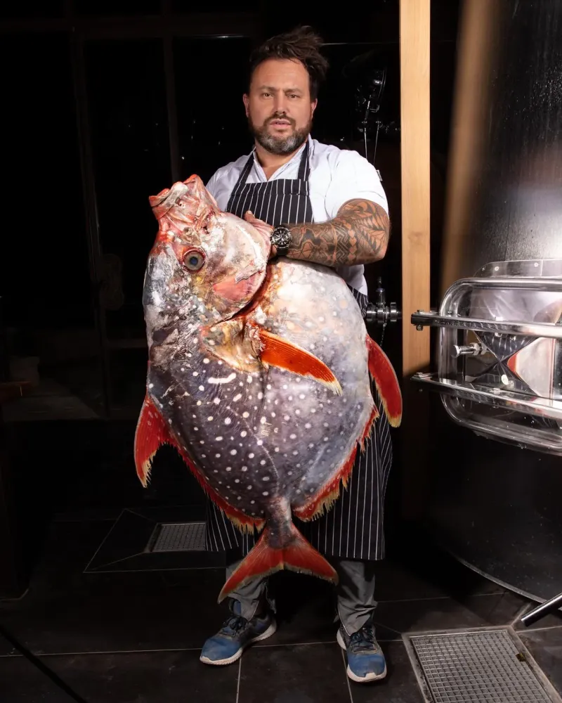 Matthieu Dupuis-Baumal