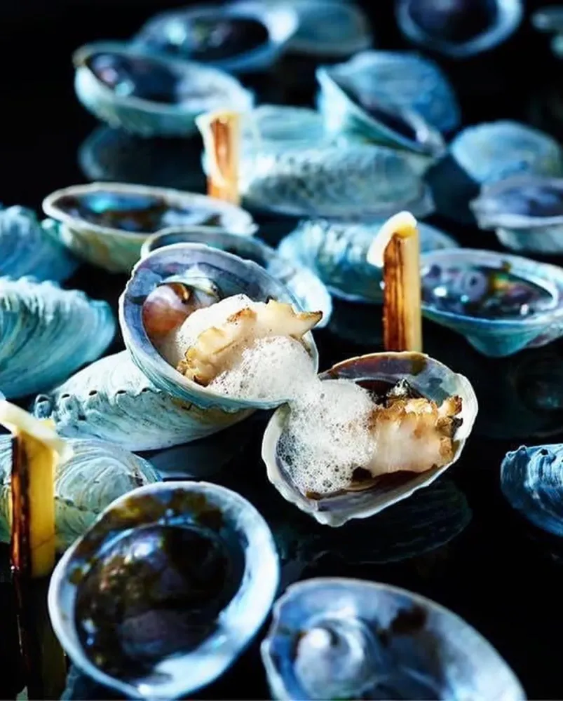 2BC4E966-5F38-49C6-81FC-F952A3D54380